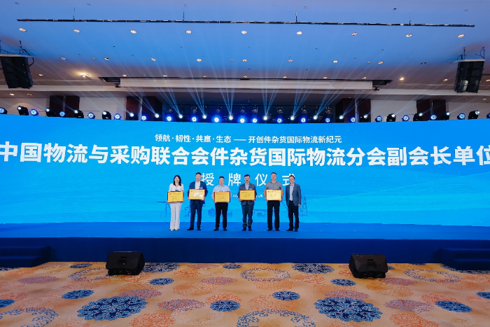 图片13
